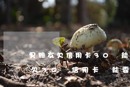 男朋友欠信用卡30萬能嫁給他嗎-男朋友欠30萬信用卡還能要嗎