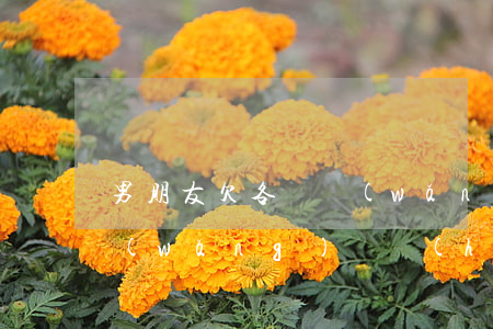 男朋友欠各種網(wǎng)貸(男朋友欠網(wǎng)貸會(huì)連累我嗎)