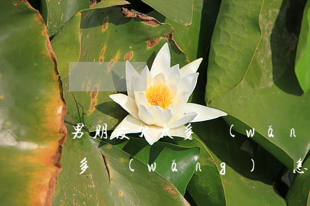 男朋友欠太多網(wǎng)貸(男友借了很多網(wǎng)貸怎么辦)