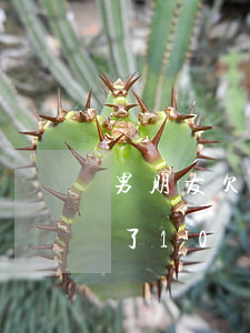 男朋友欠幾十萬網(wǎng)貸(男朋友欠了10萬網(wǎng)貸)