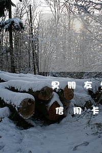 男朋友欠很多网贷和信用卡(男朋友欠了很多信用卡)