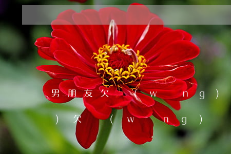 男朋友欠網(wǎng)貸30萬(wàn)(欠網(wǎng)貸30多萬(wàn))