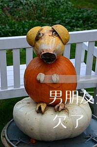 男朋友欠網(wǎng)貸8萬(wàn)(欠了網(wǎng)貸8萬(wàn)多怎么辦?)