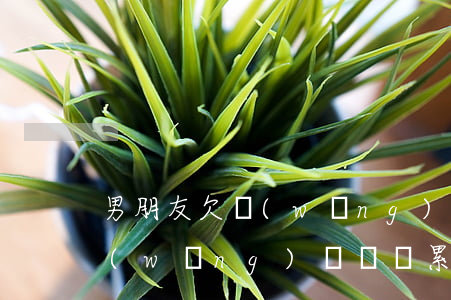 男朋友欠網(wǎng)貸一萬(男朋友欠網(wǎng)貸會連累我嗎)