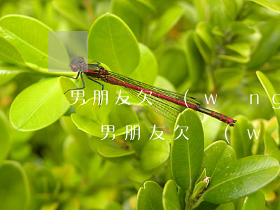 男朋友欠網(wǎng)貸十幾萬可以分手嗎(男朋友欠網(wǎng)貸十萬該不該分手)