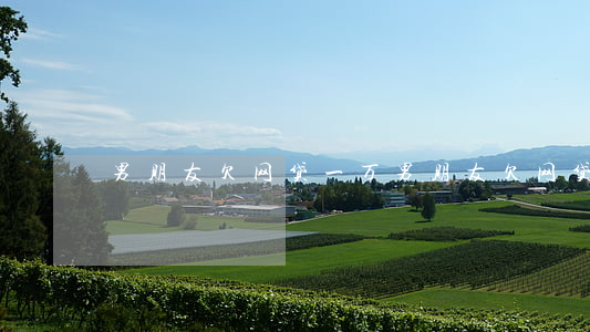 男朋友欠网贷一万(男朋友欠网贷会连累我吗)