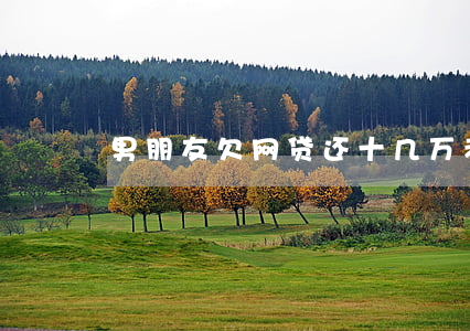 男朋友欠网贷还十几万(老公欠了几十万网贷)