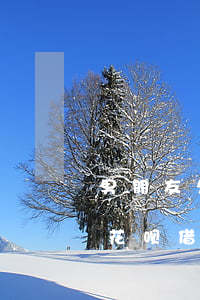 男朋友欠花呗借呗说想和我结婚-男朋友欠花呗借呗说想和我结婚怎么办