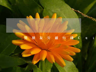 男朋友欠銀行錢(qián)不還