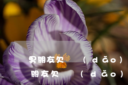 男朋友欠錢導(dǎo)致我信用卡逾期(男朋友欠錢導(dǎo)致我信用卡逾期怎么辦)