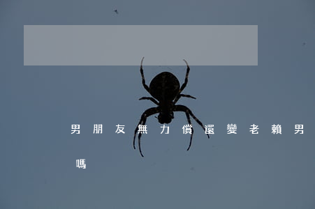 男朋友無力償還變老賴(男朋友是老賴還能嫁嗎)