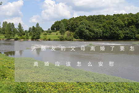 男朋友的父母离婚了要怎么安慰(男朋友父母离婚应该怎么安慰)