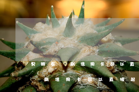 男朋友盜刷信用卡可以直接起訴嗎-男朋友盜刷信用卡可以直接起訴嗎知乎