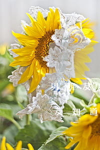 男朋友瞞著對(duì)方信用卡透支(男朋友知道我欠信用卡錢)