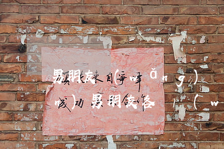 男朋友網(wǎng)貸欠了二十萬(wàn)(男朋友各種網(wǎng)貸欠了10萬(wàn))