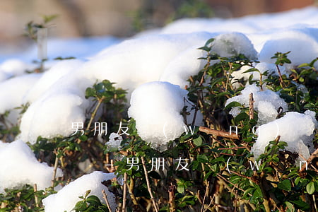 男朋友網(wǎng)貸欠了幾十萬該怎么還-男朋友網(wǎng)貸欠了幾十萬該怎么還呢