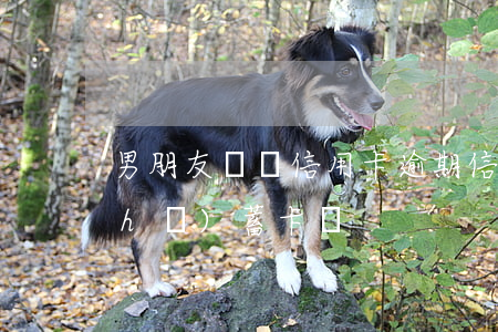 男朋友賭錢信用卡逾期(信用卡逾期扣儲(chǔ)蓄卡錢)