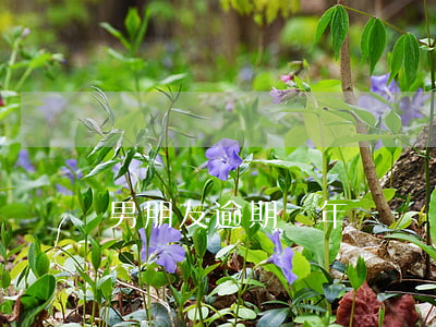 男朋友逾期兩年這種還能要嗎（前男友逾期）