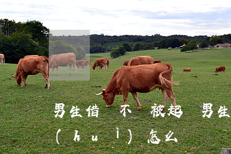 男生借錢不還被起訴(男生借錢不還被起訴會(huì)怎么樣)