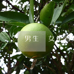 男生給女生看病欠網(wǎng)貸
