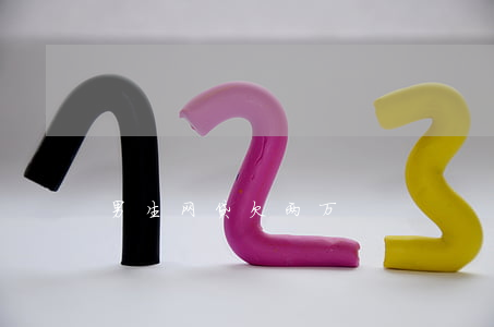 男生网贷欠两万