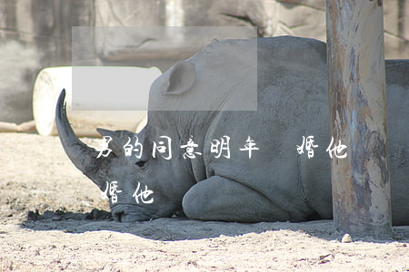 男的同意明年離婚他會離嗎(男的同意明年離婚他會離嗎)