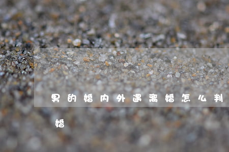 男的婚内外遇离婚怎么判定(男人外遇提出离婚)