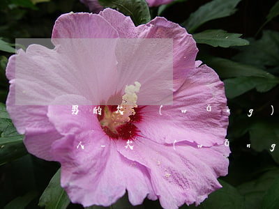 男的欠網(wǎng)貸不知道是不是有女人-欠網(wǎng)貸的男人能要嗎?