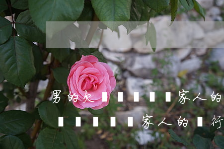 男的欠網貸會凍結家人的銀行卡嗎-男的欠網貸會凍結家人的銀行卡嗎知乎