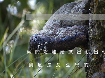 男的沒離婚就出軌(出軌了又不肯離婚的男人,到底是怎么想的?)