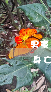 男童發(fā)燒送醫(yī)幾天后不治身亡，醫(yī)院漏診被判賠62萬(wàn)