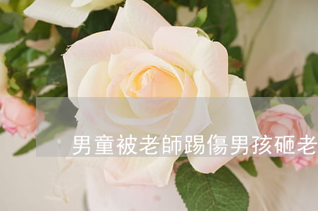 男童被老師踢傷(男孩砸老師)