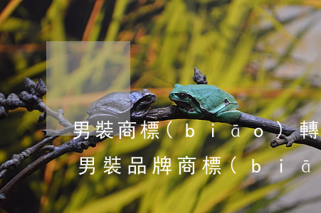 男裝商標(biāo)轉(zhuǎn)讓(男裝品牌商標(biāo))