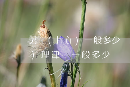 男護(hù)一般多少錢一月啊(男護(hù)理津貼一般多少)
