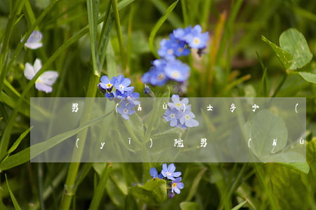 男護(hù)士多少錢(qián)一月(醫(yī)院男護(hù)工多少錢(qián)一天)