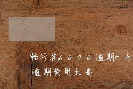 畅行花6000逾期5个月会怎样-畅行花逾期费用太高