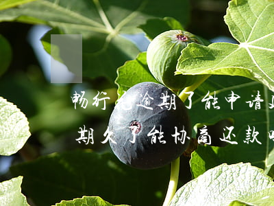 畅行花逾期了能申请延期还款吗-畅行花逾期久了能协商还款吗