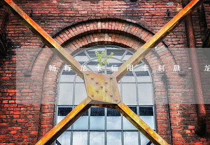 畅行龙卡信用卡利息-龙卡 畅享卡