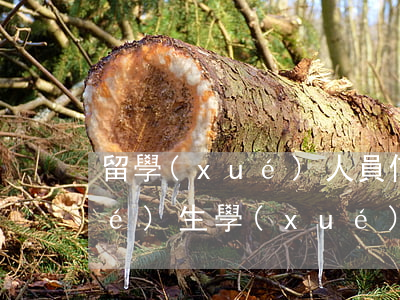 留學(xué)人員信用卡逾期(留學(xué)生學(xué)費(fèi)逾期了怎么辦)