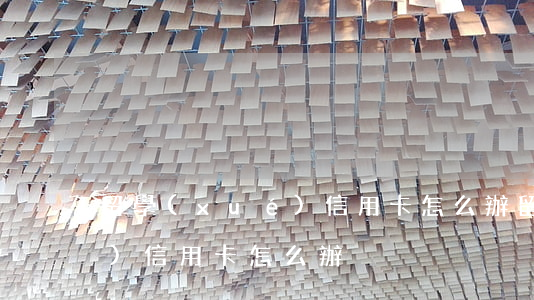 留學(xué)信用卡怎么辦(留學(xué)信用卡怎么辦)