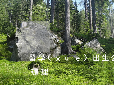 留學(xué)出生公證書(shū)如何辦理