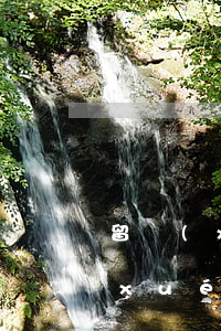 留學(xué)帶爸媽信用卡逾期-留學(xué)生信用卡不還