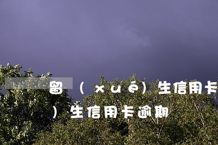 留學(xué)生信用卡不還（留學(xué)生 信用卡 逾期）