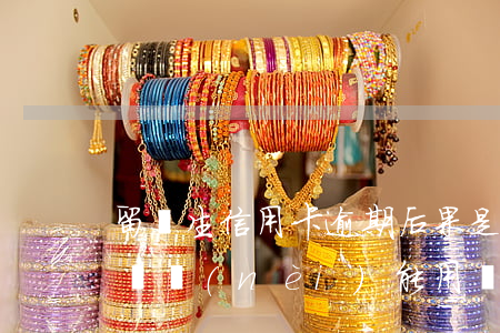 留學生信用卡逾期后果是什么(留學生信用卡國內(nèi)能用嗎)