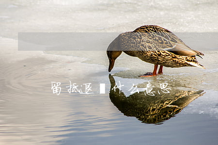 留抵退稅什么意思