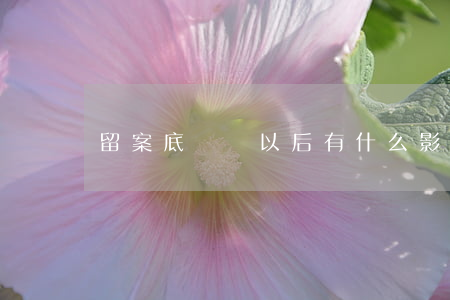 留案底會對以后有什么影響