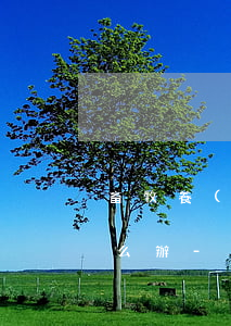 畜牧養(yǎng)殖合作社還不起貸款怎么辦-畜牧養(yǎng)殖合作社的補(bǔ)助