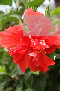 畜禽養(yǎng)殖及法律法規(guī)課件(農(nóng)村養(yǎng)殖法律法規(guī))