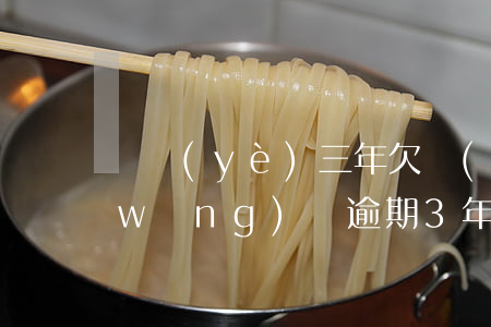 畢業(yè)三年欠網(wǎng)貸(網(wǎng)貸逾期3年)