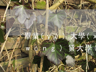 畢業(yè)大學(xué)生欠5萬網(wǎng)貸(大學(xué)生欠五千)